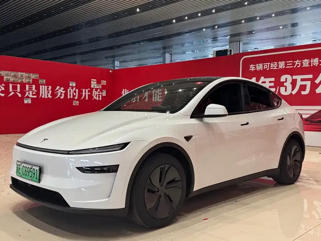 Tesla Model Y — фото 1