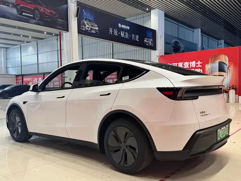 Tesla Model Y — фото 9