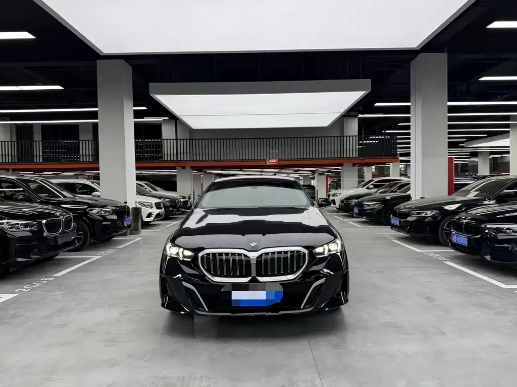 BMW 5 Series 2024 из CN, фото 6