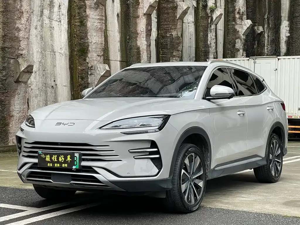 BYD PLUS New Energy — фото 1