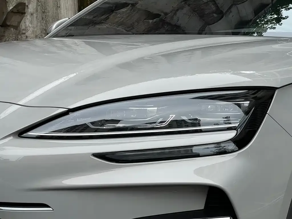 BYD PLUS New Energy — фото 3