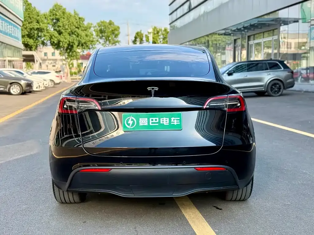 Tesla Model Y — фото 3
