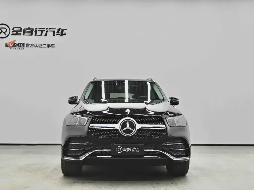 Mercedes-Benz 奔驰GLE(进口) — фото 8