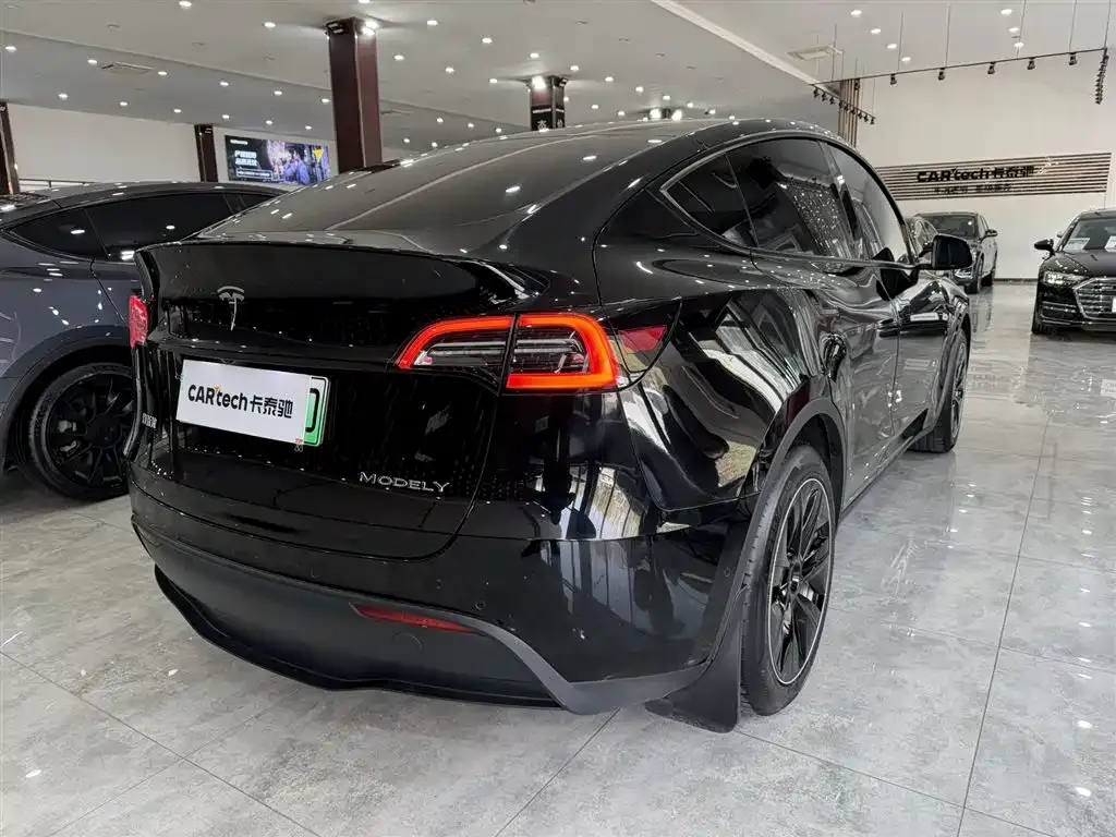 Tesla Model Y — фото 10