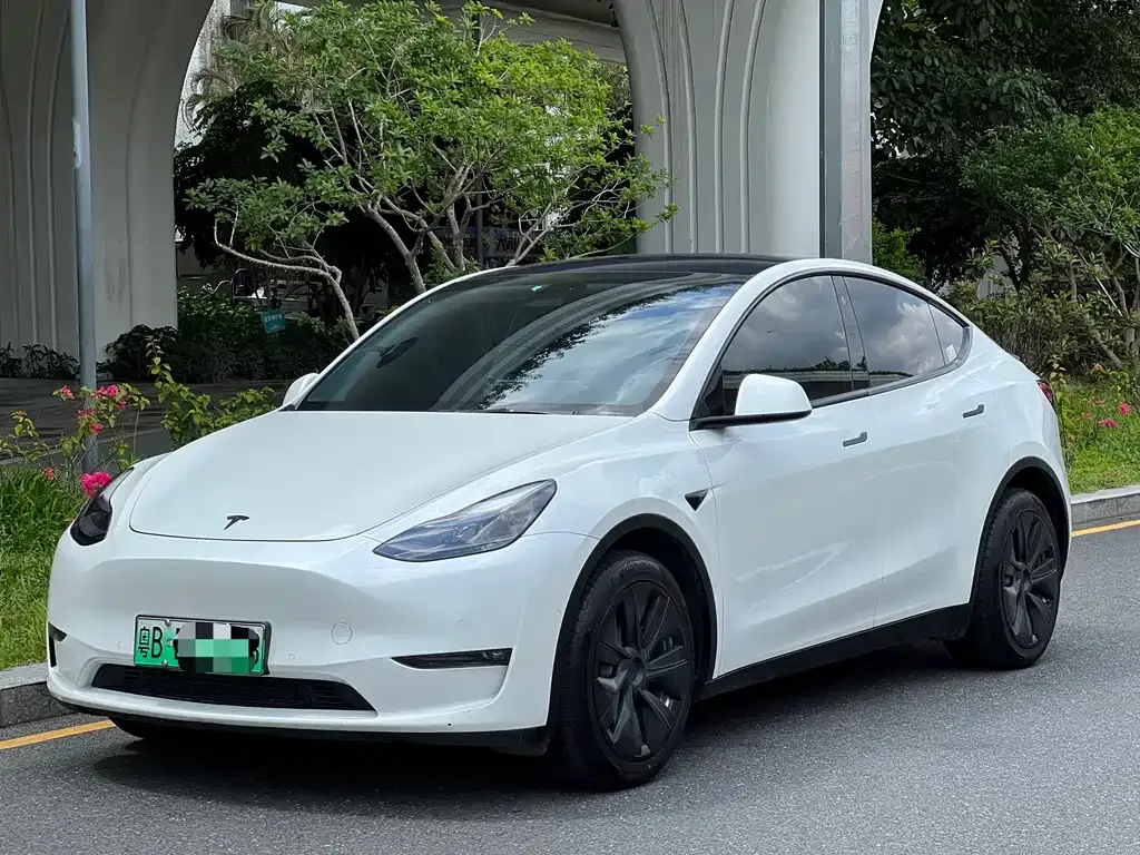 Tesla Model Y — фото 1