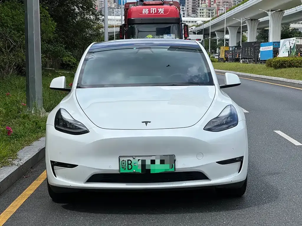 Tesla Model Y — фото 6
