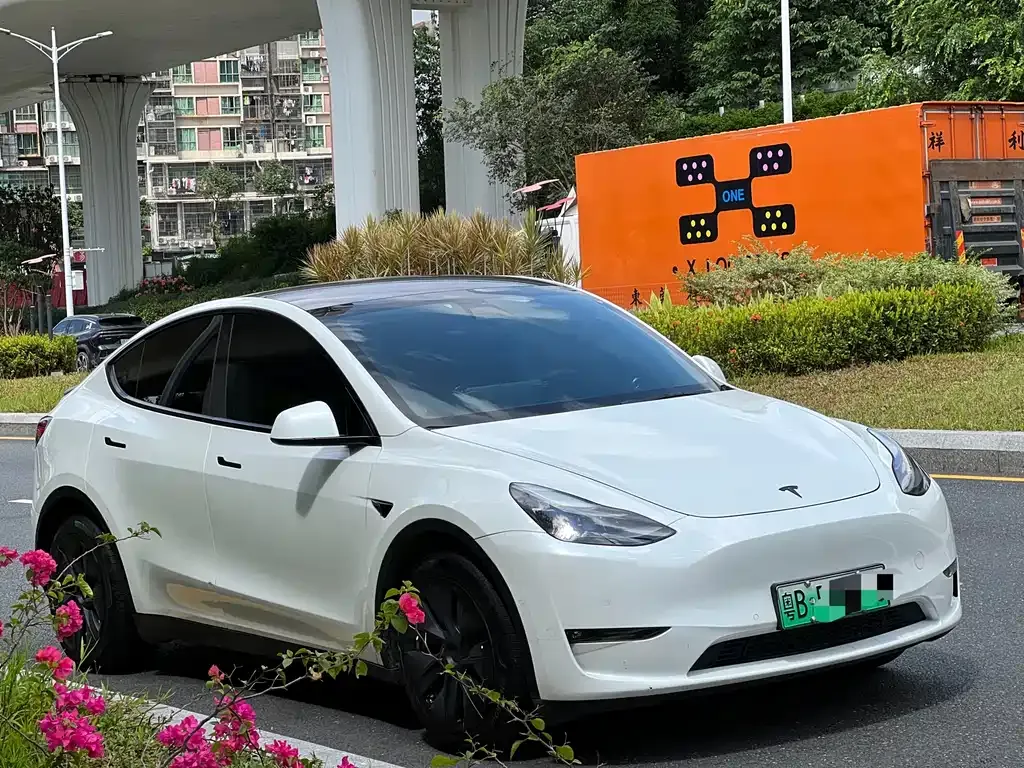Tesla Model Y — фото 8