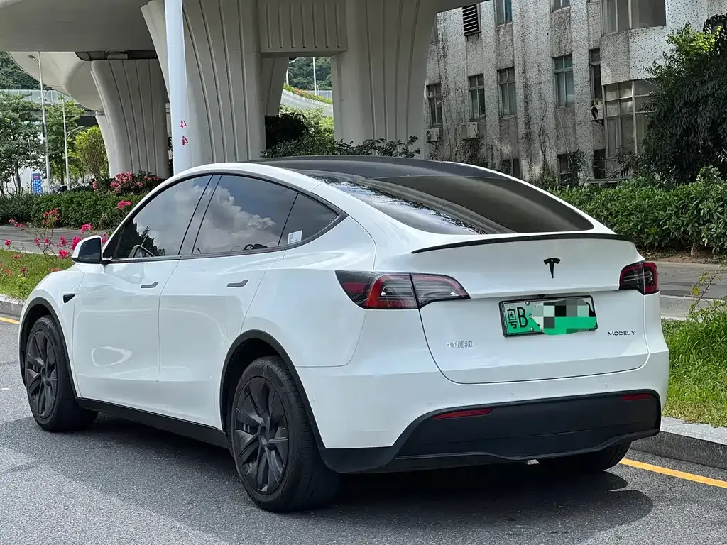 Tesla Model Y — фото 9