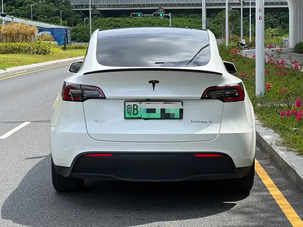 Tesla Model Y — фото 10