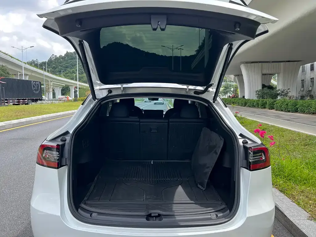 Tesla Model Y — фото 2