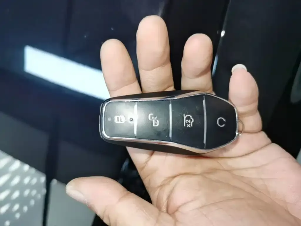 BYD Tang New Energy 2025 из CN, фото 3