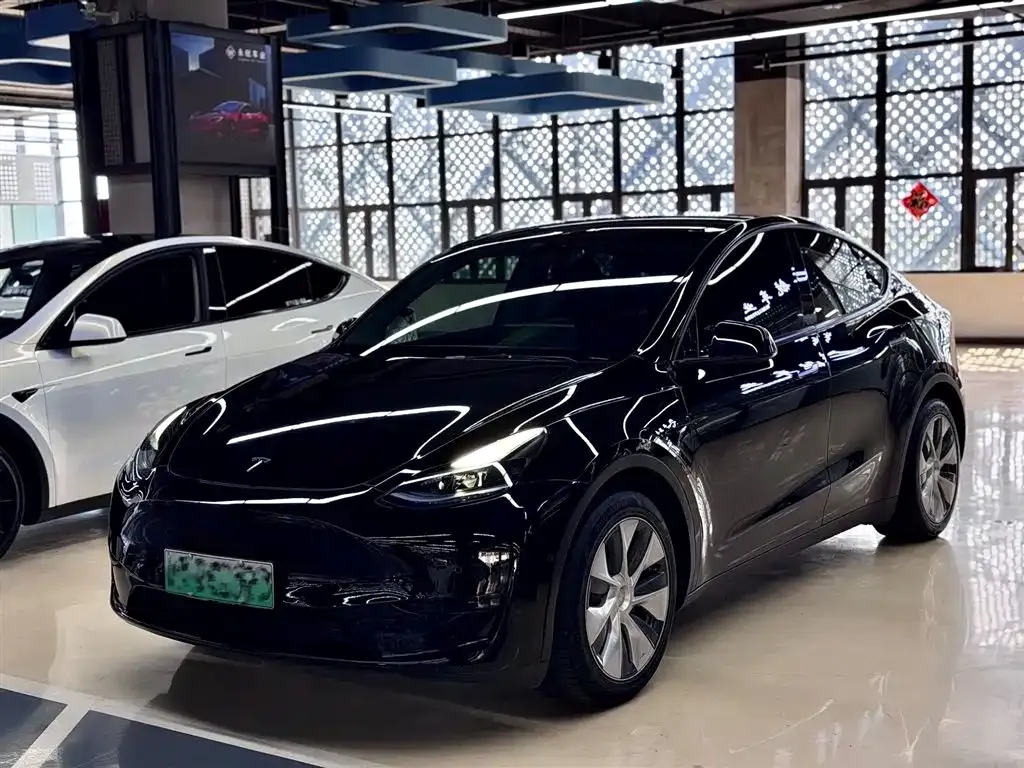 Tesla Model Y — фото 1