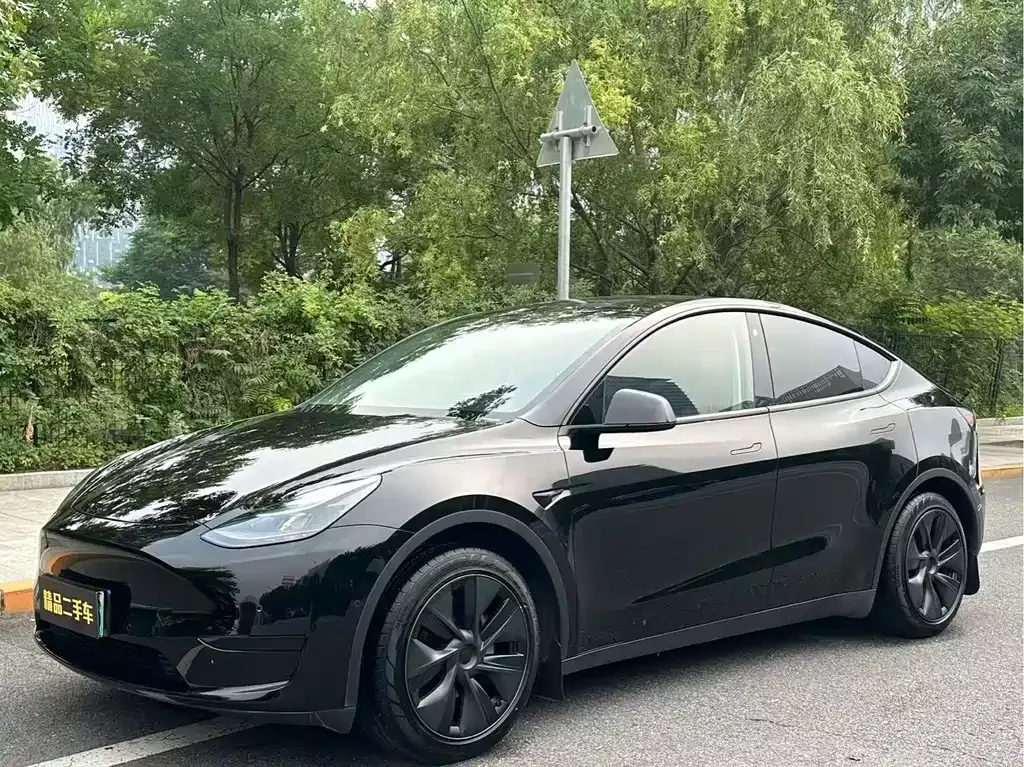 Tesla Model Y — фото 1
