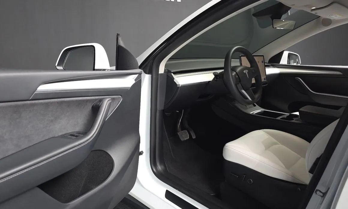 Tesla Model Y — фото 10