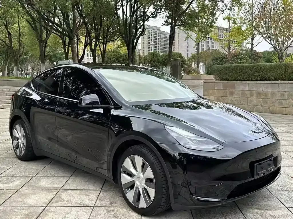 Tesla Model Y — фото 6