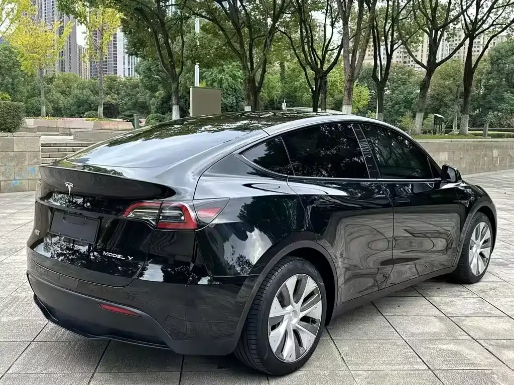 Tesla Model Y — фото 5