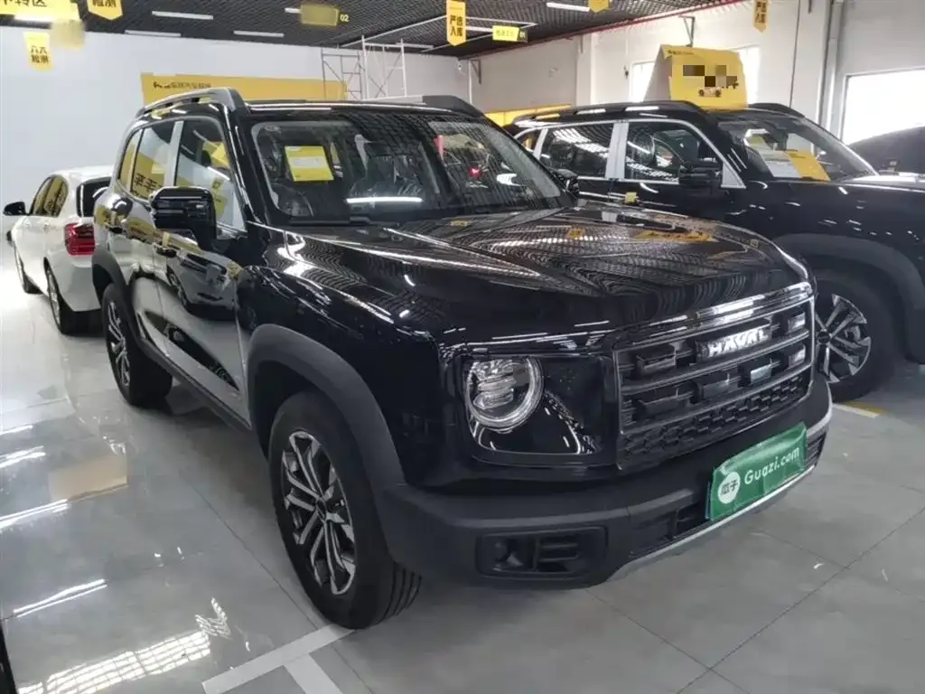 Haval Big Dog — фото 4