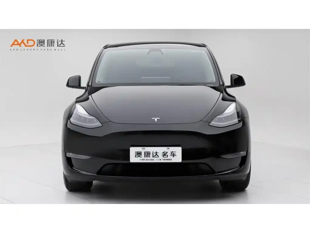 Tesla Model Y — фото 7