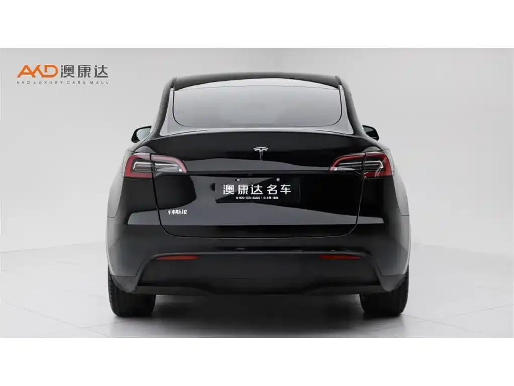 Tesla Model Y — фото 4
