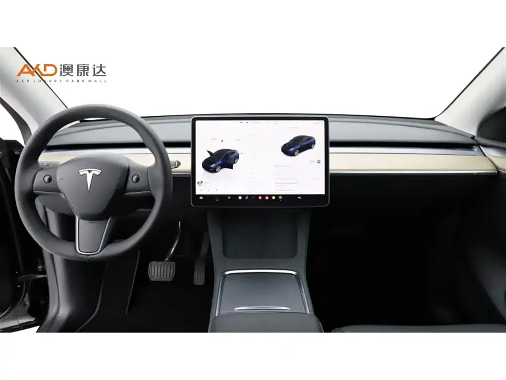 Tesla Model Y — фото 10