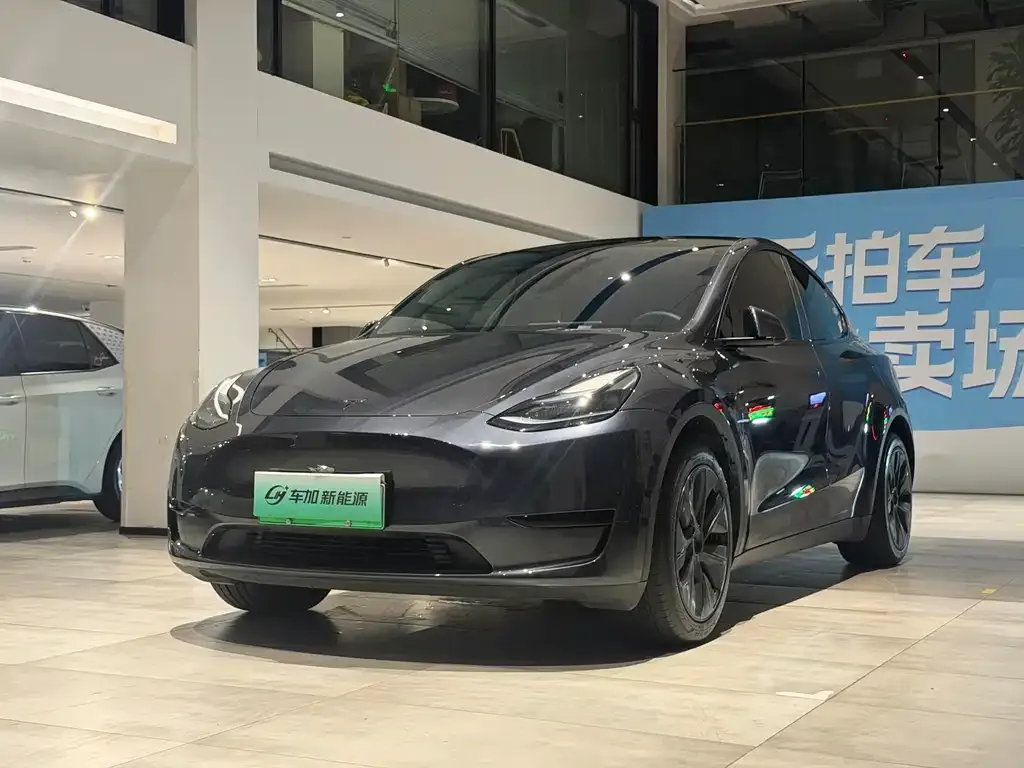 Tesla Model Y — фото 1