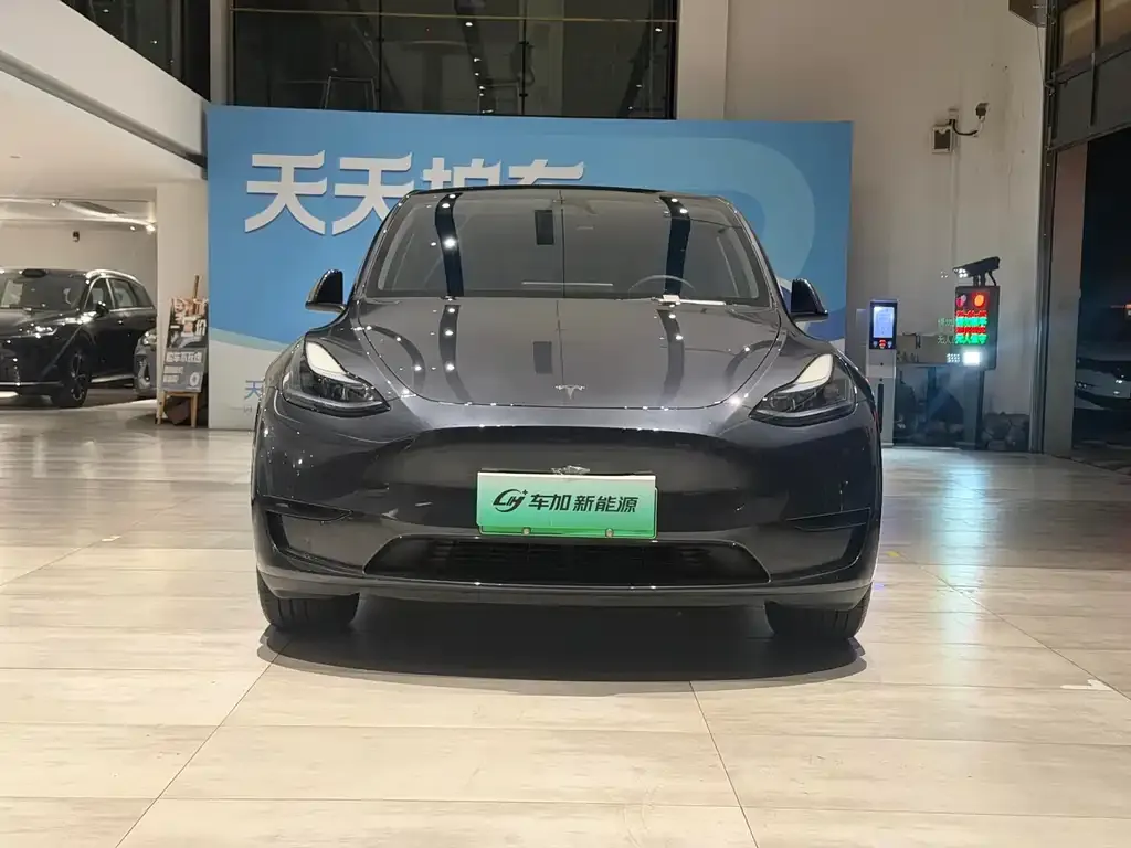 Tesla Model Y — фото 9