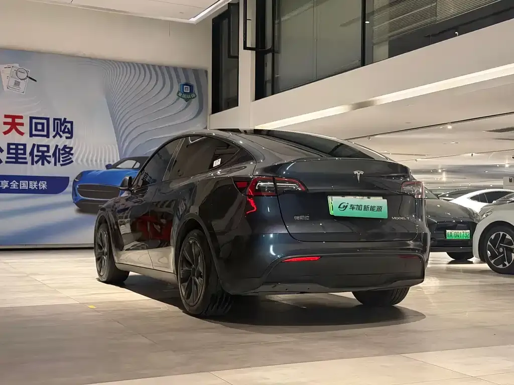 Tesla Model Y — фото 3