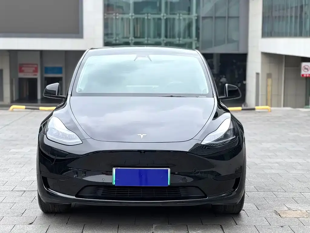 Tesla Model Y — фото 6