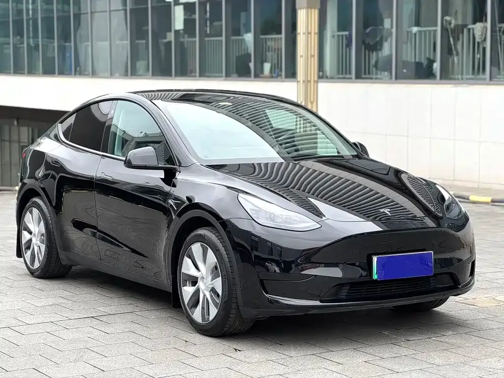 Tesla Model Y — фото 9