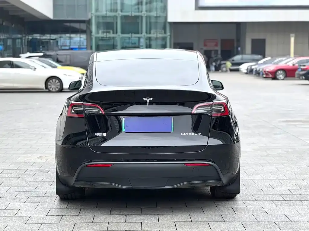 Tesla Model Y — фото 8
