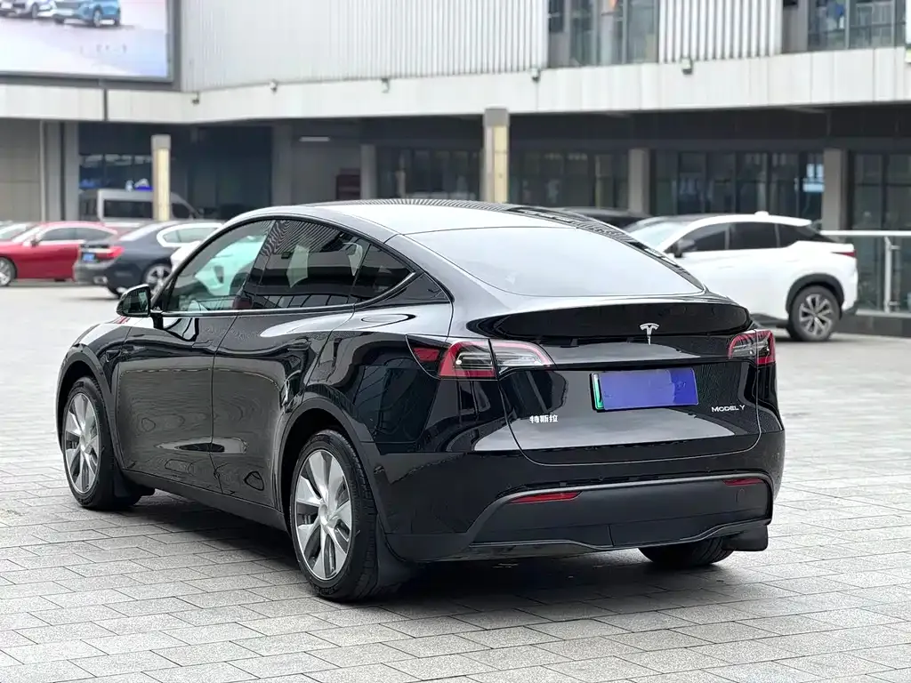 Tesla Model Y — фото 4