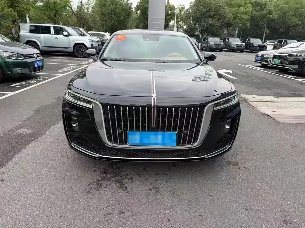 Hongqi H9 2021 из CN, фото 9