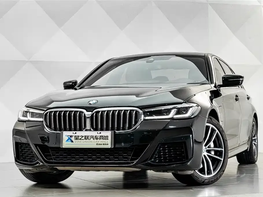 BMW 5 Series New Energy 2021 из CN, фото 6