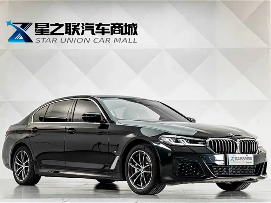BMW 5 Series New Energy 2021 из CN, фото 10
