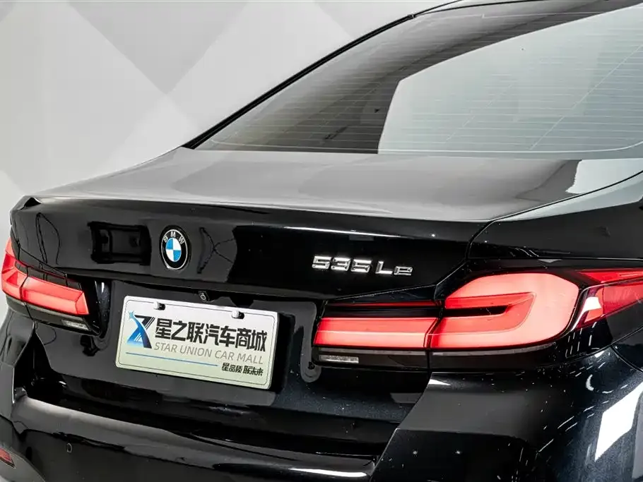 BMW 5 Series New Energy 2021 из CN, фото 8
