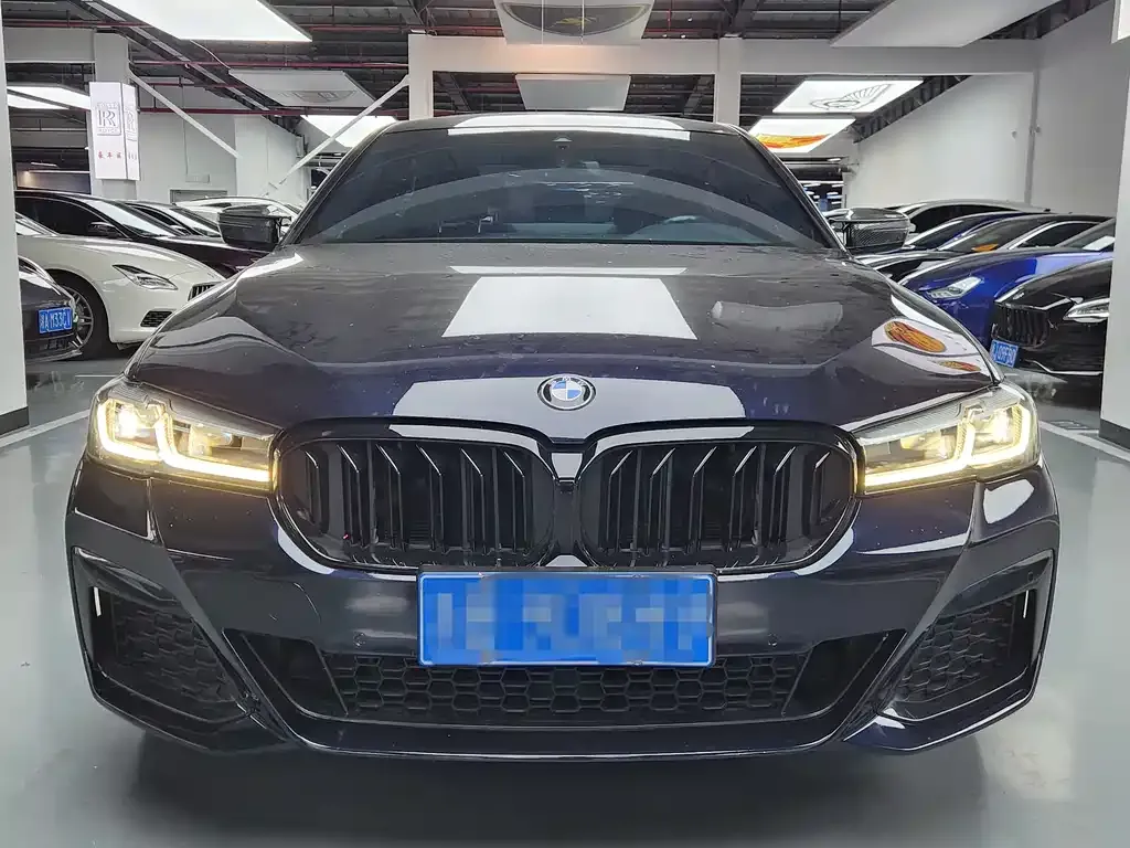 BMW 5 Series 2022 из CN, фото 5