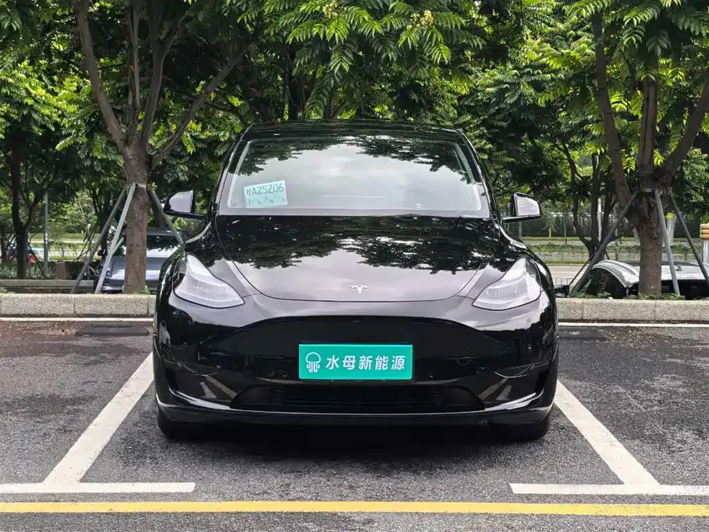 Tesla Model Y — фото 7
