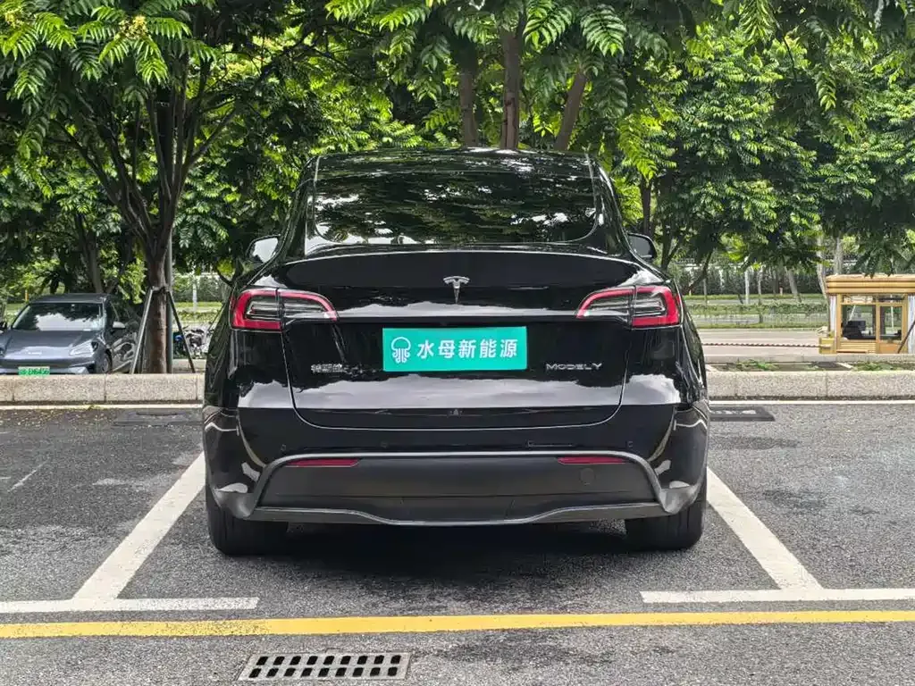 Tesla Model Y — фото 6