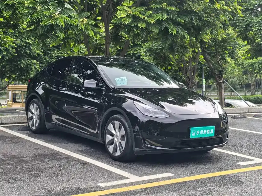 Tesla Model Y — фото 8