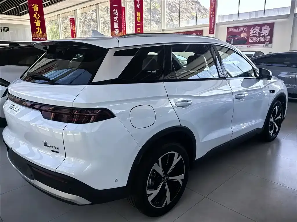 BYD Pro New Energy — фото 8