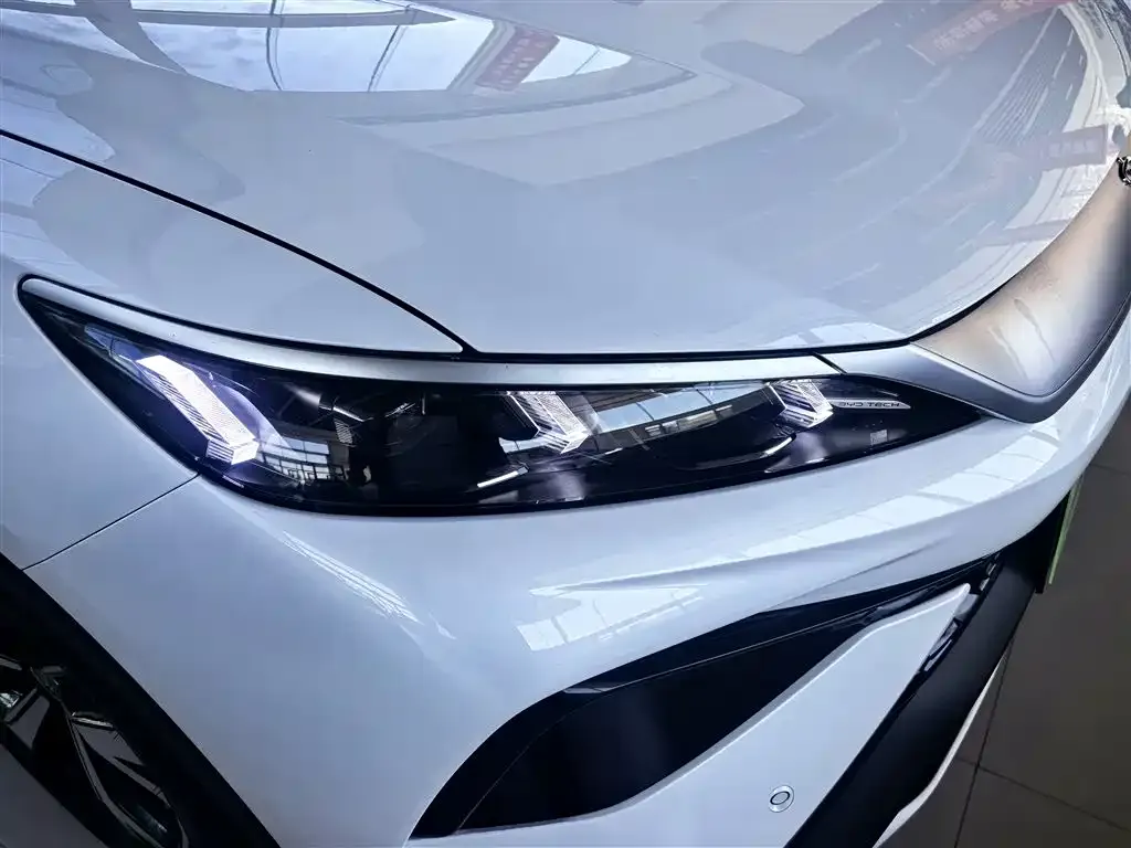 BYD Pro New Energy — фото 9