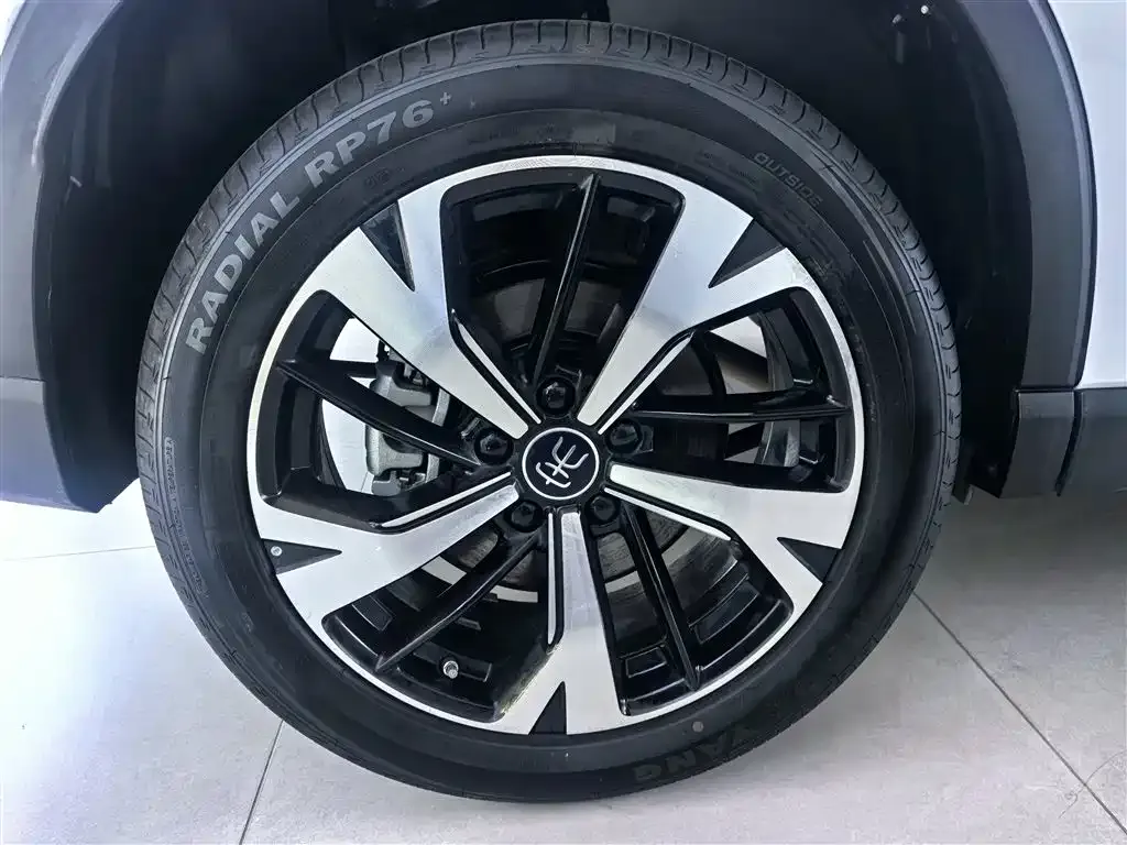 BYD Pro New Energy — фото 6
