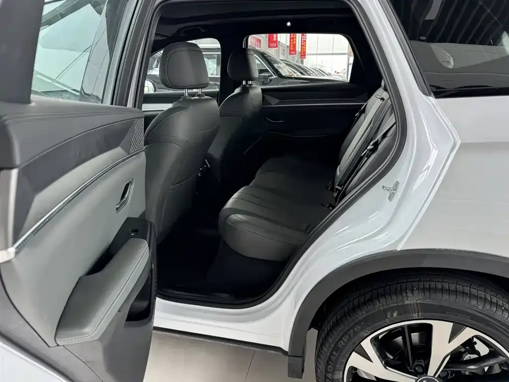 BYD Pro New Energy — фото 4