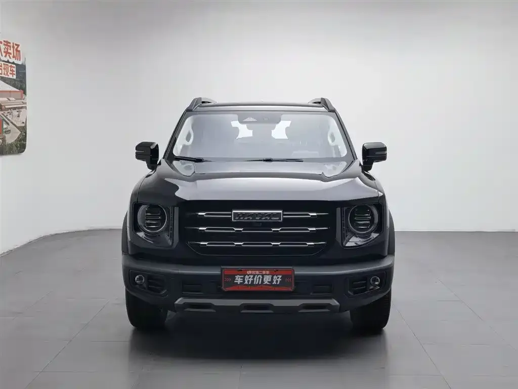 Haval Big Dog 2023 из CN, фото 4