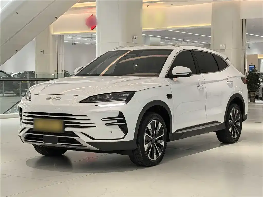 BYD PLUS New Energy — фото 1