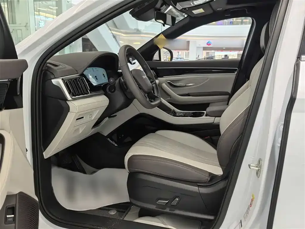 BYD PLUS New Energy — фото 9