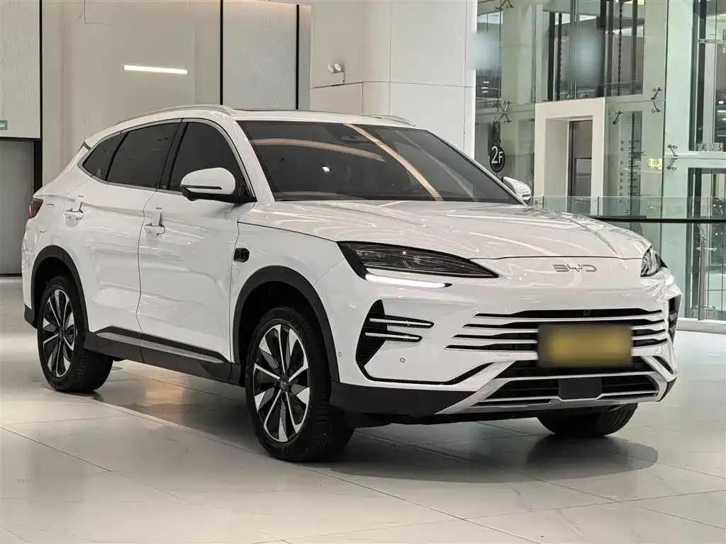 BYD PLUS New Energy — фото 8
