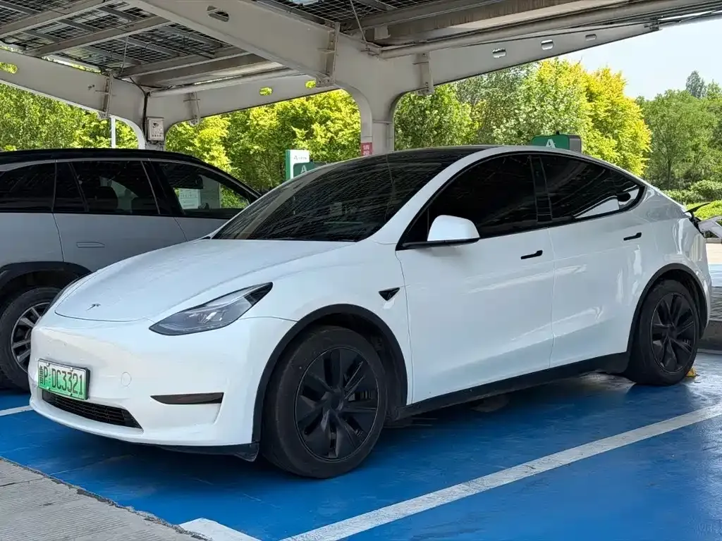 Tesla Model Y — фото 1