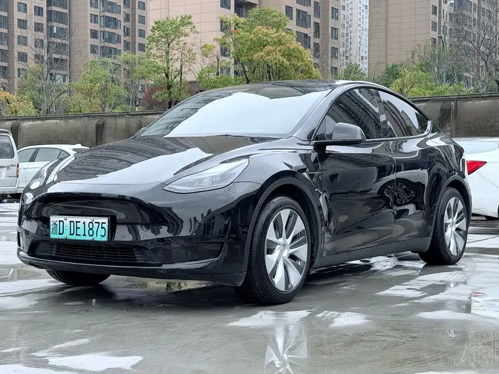 Tesla Model Y — фото 1