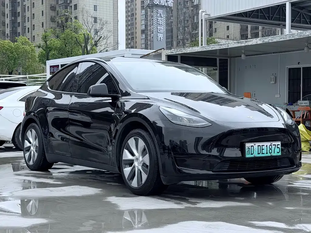 Tesla Model Y — фото 3